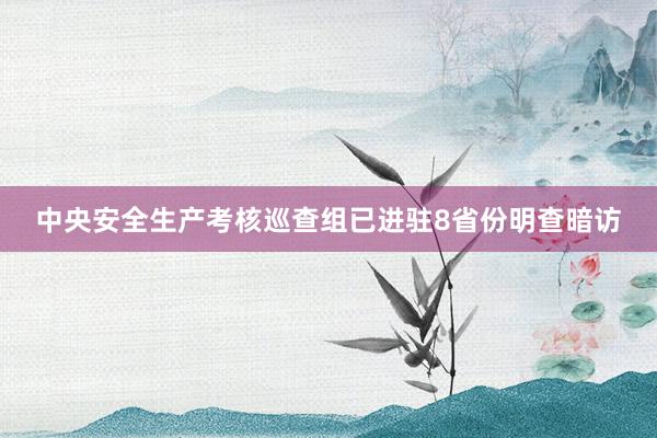 中央安全生产考核巡查组已进驻8省份明查暗访