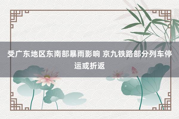 受广东地区东南部暴雨影响 京九铁路部分列车停运或折返