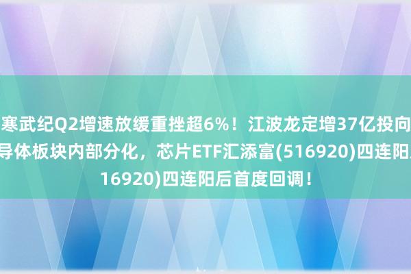 寒武纪Q2增速放缓重挫超6%！江波龙定增37亿投向AI存储！半导体板块内部分化，芯片ETF汇添富(516920)四连阳后首度回调！