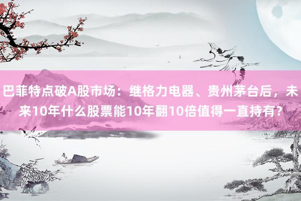 巴菲特点破A股市场：继格力电器、贵州茅台后，未来10年什么股票能10年翻10倍值得一直持有？