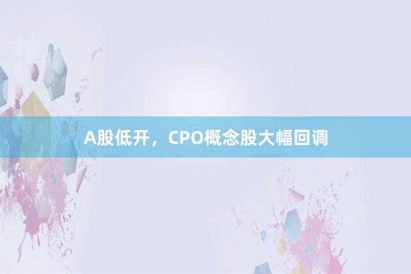 A股低开，CPO概念股大幅回调
