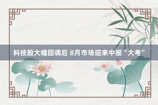 科技股大幅回调后 8月市场迎来中报“大考”