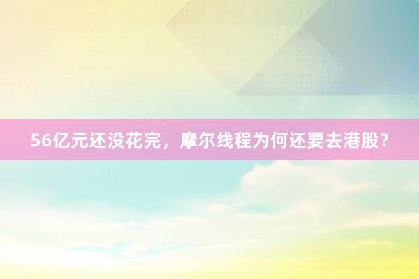 56亿元还没花完，摩尔线程为何还要去港股？