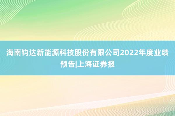 海南钧达新能源科技股份有限公司2022年度业绩预告|上海证券报