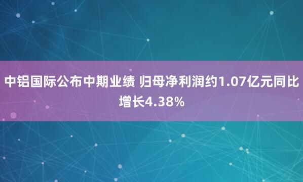 中铝国际公布中期业绩 归母净利润约1.07亿元同比增长4.38%