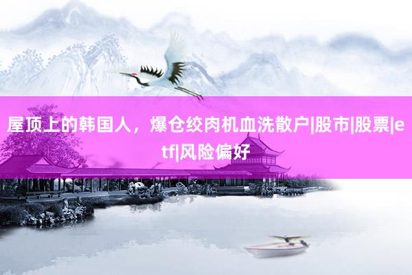 屋顶上的韩国人，爆仓绞肉机血洗散户|股市|股票|etf|风险偏好
