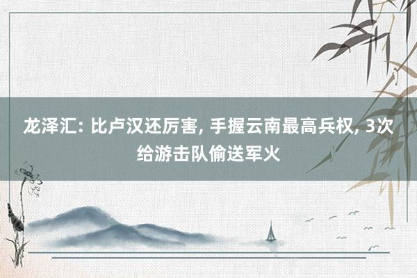 龙泽汇: 比卢汉还厉害, 手握云南最高兵权, 3次给游击队偷送军火