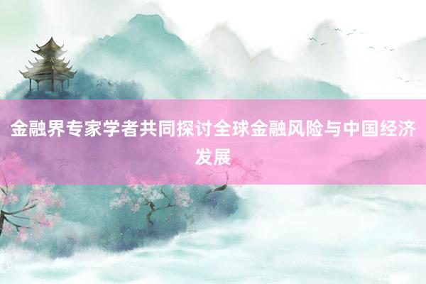 金融界专家学者共同探讨全球金融风险与中国经济发展