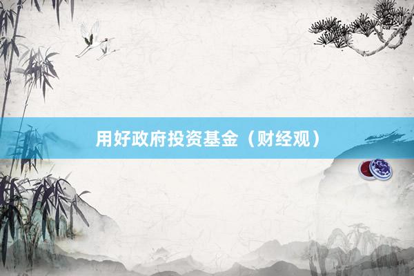 用好政府投资基金（财经观）