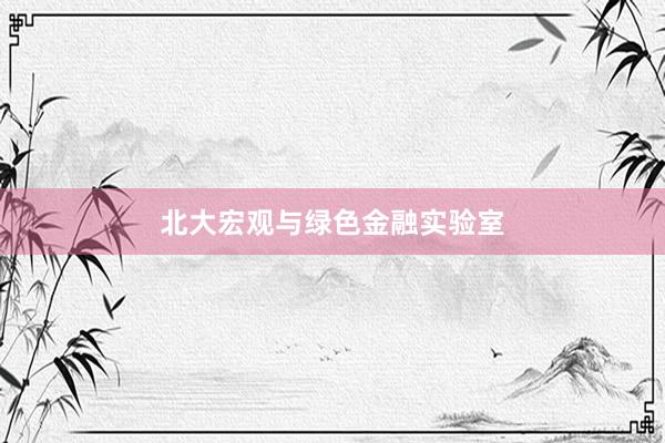 北大宏观与绿色金融实验室