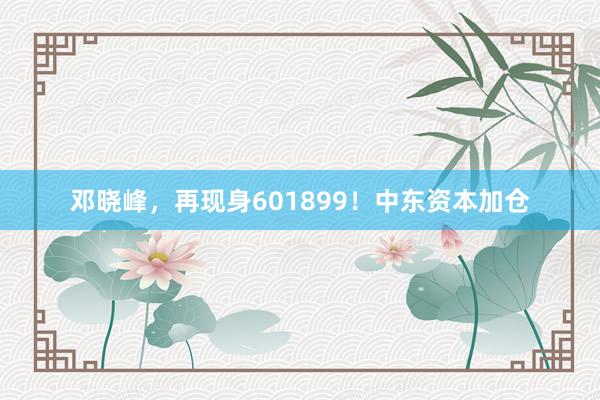 邓晓峰，再现身601899！中东资本加仓