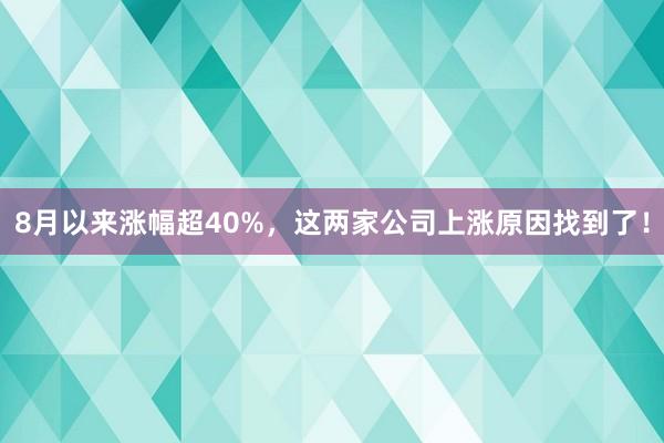 8月以来涨幅超40%，这两家公司上涨原因找到了！