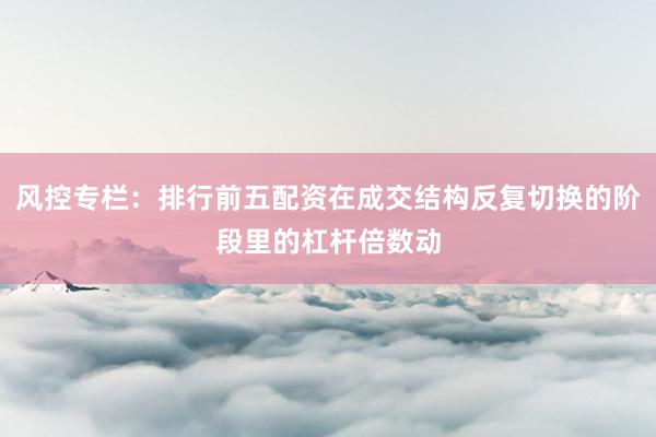 风控专栏：排行前五配资在成交结构反复切换的阶段里的杠杆倍数动