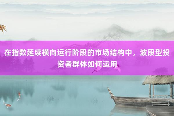 在指数延续横向运行阶段的市场结构中，波段型投资者群体如何运用