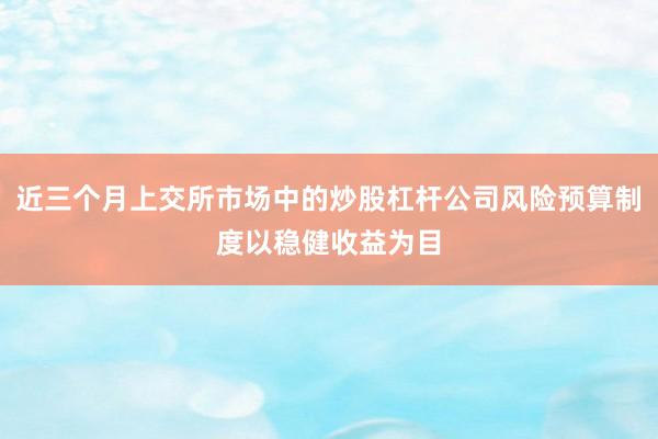 近三个月上交所市场中的炒股杠杆公司风险预算制度以稳健收益为目