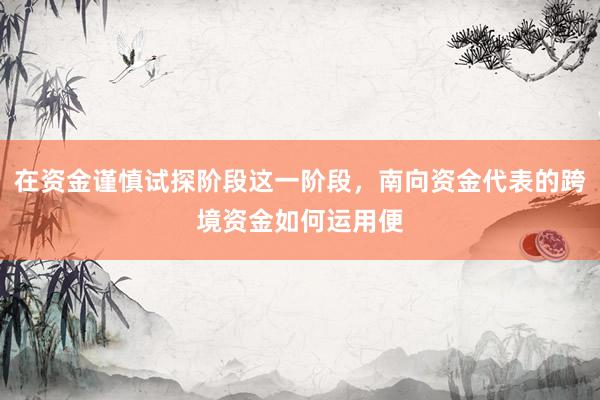 在资金谨慎试探阶段这一阶段，南向资金代表的跨境资金如何运用便