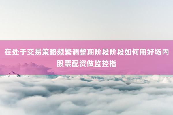 在处于交易策略频繁调整期阶段阶段如何用好场内股票配资做监控指