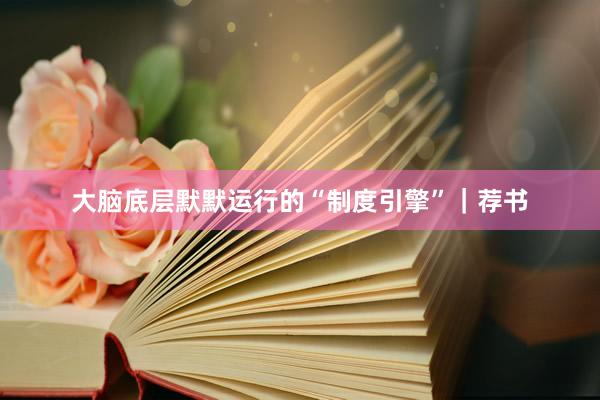 大脑底层默默运行的“制度引擎”｜荐书