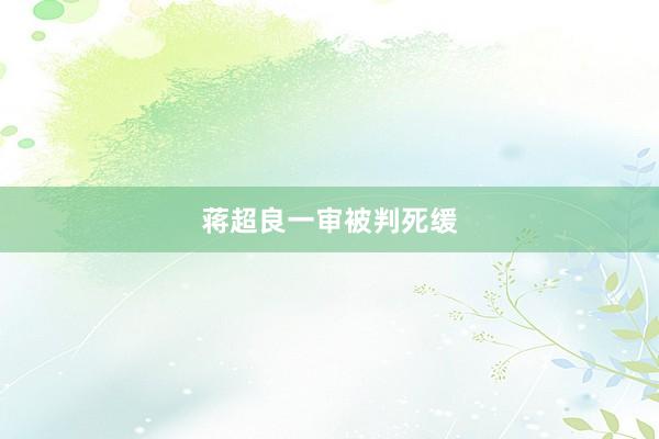 蒋超良一审被判死缓