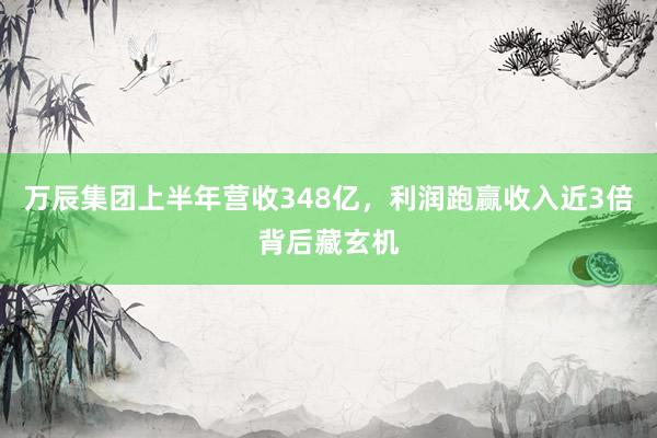 万辰集团上半年营收348亿，利润跑赢收入近3倍背后藏玄机