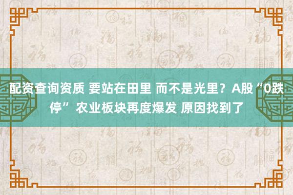 配资查询资质 要站在田里 而不是光里？A股“0跌停” 农业板块再度爆发 原因找到了