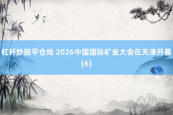 杠杆炒股平仓线 2026中国国际矿业大会在天津开幕(6)