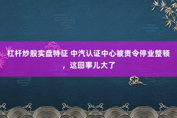 杠杆炒股实盘特征 中汽认证中心被责令停业整顿，这回事儿大了