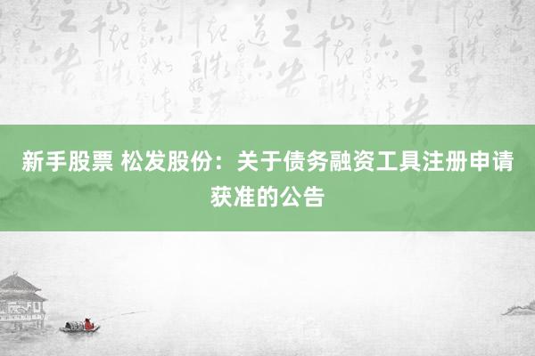 新手股票 松发股份：关于债务融资工具注册申请获准的公告