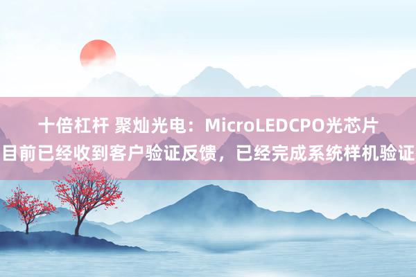 十倍杠杆 聚灿光电：MicroLEDCPO光芯片目前已经收到客户验证反馈，已经完成系统样机验证