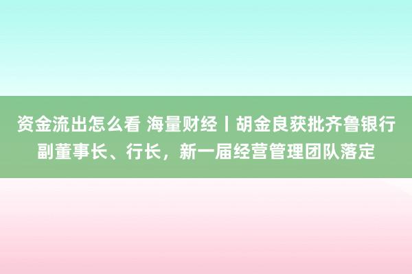 资金流出怎么看 海量财经丨胡金良获批齐鲁银行副董事长、行长,新一届经营管理团队落定