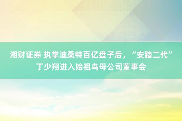 湘财证券 执掌迪桑特百亿盘子后,“安踏二代”丁少翔进入始祖鸟母公司董事会